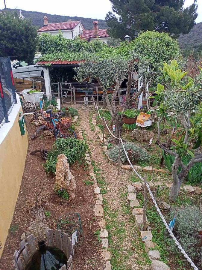 Apartment Agava Miholascica Εξωτερικό φωτογραφία