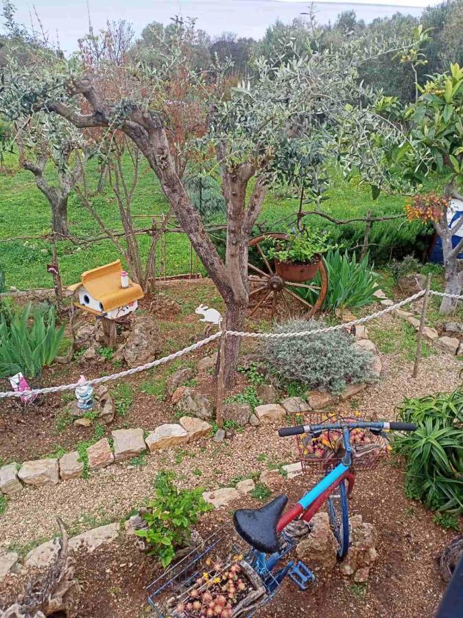 Apartment Agava Miholascica Εξωτερικό φωτογραφία