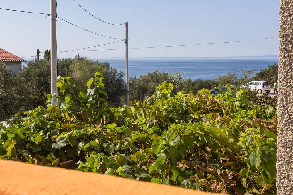 Apartment Agava Miholascica Εξωτερικό φωτογραφία